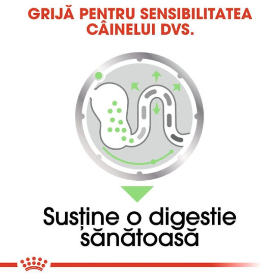 Royal Canin Digestive Care All Sizes – Hrană Umedă Pate pentru Câini, 85 g